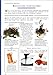 10,001 Hints and Tips for the Home (Hints & Tips)