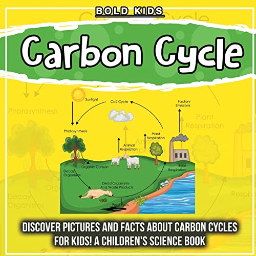 Carbon Cycle Discover Pictures and Facts About Carbon Cycles For Kids! A Children's Science