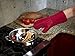 All Clad Silicone Oven Mitt: Heat Resistant up to 500 Degrees - 100% Cotton & Silicone, 14
