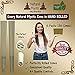 Pre Rolled Cones 1 1/4 Size – 50 Brown Classic Paper Tubes Natural Mystic Organic Rolling Papers With Tips Use Cone Loader Packing Sticks