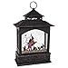 RAZ Imports Witch Lighted Water Lantern 11