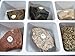 American Educational 15 Piece Sedimentary Rock Collection