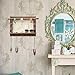 EXCELLO GLOBAL PRODUCTS Rustic Wall Mounted Jewelry Organizer: Shabby Chic Jewelry Box Alternative with 5 INTERCHANGABLE Background Options/Bracelet Organizer/Necklace Holder/Earring Organizer
