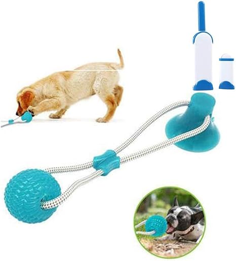 Amazon Co Jp 吸引カップの犬のおもちゃ 犬のタグのおもちゃ 多機能のペットの臼歯の咬傷の犬のおもちゃ 再利用可能な両面ペットの毛の除去ブラシ インタラクティブな犬のおもちゃ ホーム キッチン