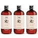 Soapbox Body Wash, Coconut Milk & Sandalwood - Moisturizing Body Wash Cleanser w/Aloe Vera & Shea Butter | Paraben Free, Gluten Free, Cruelty Free & Vegan Body Wash, 16oz Bottles (Pack of 3)