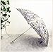 Honeystore Vintage Lace UV Sun Parasol Folding 3D Flower Embroidery Umbrella BM1618 Grey