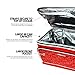 OUTBOUND Large Soft Cooler | Portable Insulated 48 Can Cooler for The Beach, Camping, and Outdoors | Collapsible, Redthumb 4