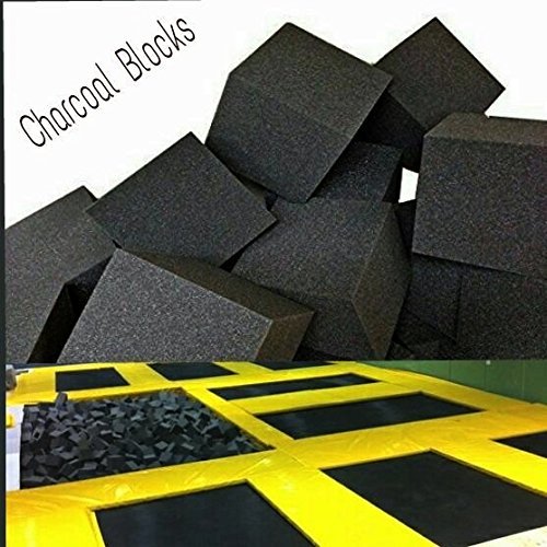 image for Ritchie Foam & Mattress Foam Pits Blocks/Cubes 1000 pcs. (CHARCOAL) 6