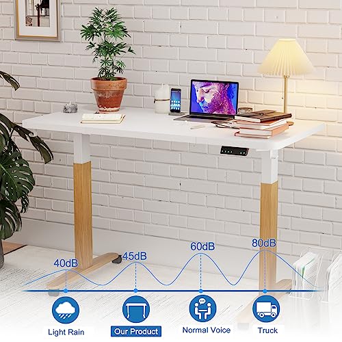 FinerCrafts 55x28 Inch Electric Standing Desk - Dual Motor Height Adjustable Desk