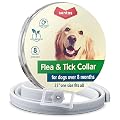 Flea collar | Flea and tick prevention for dogs | Flea collar for dogs | Dog flea and Tick Collar for Dogs | Dog Flea Collars for Small Big Dogs Flea Treatment | Flea Protection Pet Flea Tick Control
