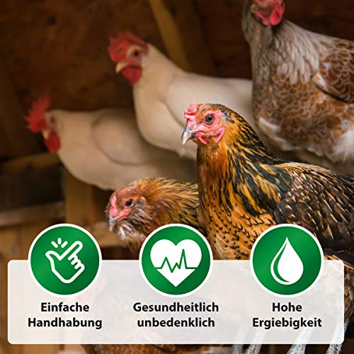 Röhnfried - Kieselgur PUR (600 g) - Naturreine Kieselerde in Pulver-Form - für ihren Hühnerstall, Kaninchenstall, Garten & Haus - gut bei Kaninchen, Hühnern & Geflügel einsetzbar – Bild 3