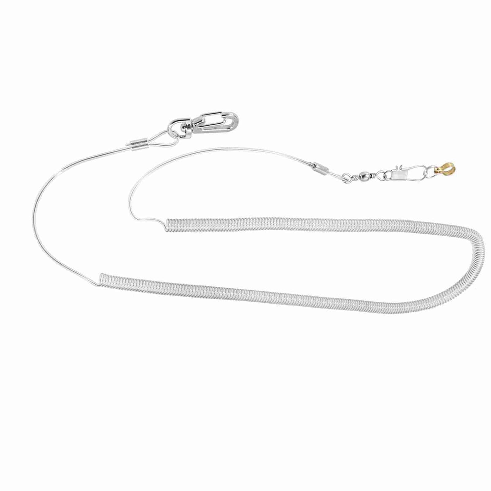 6m Bird Flying Rope Anti bite Pet Leash Kits Stainless Steel Bird Foot Chain with Ring Outdoor Traction for Bird Parrot Flying Training(6 . 5MM+6M) Bird training supplies