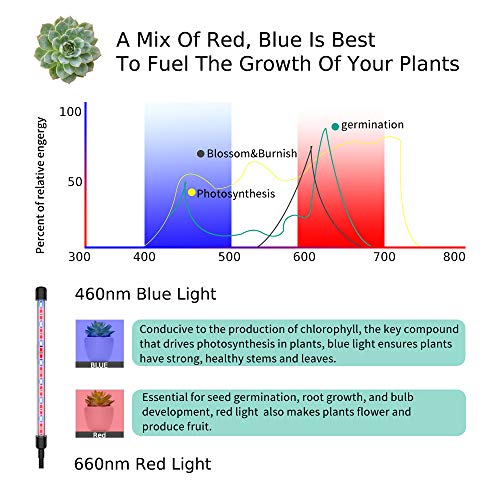 1 Light+Lights+Indoor+Plants+Spectrum