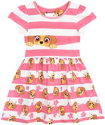 paw patrol birthday dress Girl's dress Skye PAW Patrol, birthday party 2T US numeric