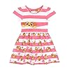 PAW Patrol Meisjes Jurk Skye