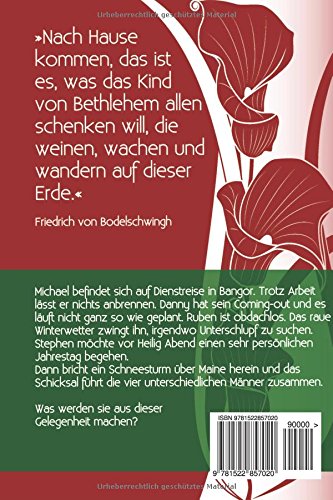 Liebessturme Holiday Gay Romance German Edition Elberfeld Melanie 9781522857020 Amazon Com Books