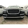 KAITIAN 2pcs ABS Chrome Car Front Center Grill Grille Cover Trim Molding Trim Molding Strip Decorative Emblems for Jaguar F-Pace 2017 2018 2019 2020 2021 (Not fit for Jaguar F-Pace S)