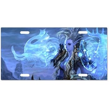 Amazon.com: World Of Warcraft G5v4 Vanity License Plate