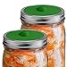 Fermilid - Fermentation Lids for Wide Mouth Mason Jars. Waterless Airlocks for Vegetable Fermenting and Pickling, Sauerkraut, Kimchi, Pickles and more (4 Lid Pack) - Green