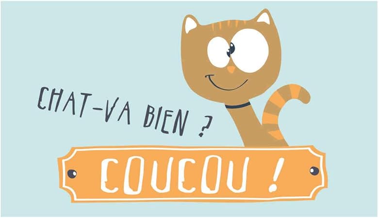 Paillasson Coucou Chat Va Bien Amazon De Haustier