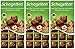 Schogetten Alpine Milk Chocolate with Hazelnuts - 3.5 Oz Bar - Pack of 3 Bars