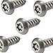 Fastenere Torx Security Sheet Metal Screws - #14 x 1-1/2