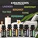 Natural Healing Essential Oil Set. Best Aromatherapy Essential Oils Set for Health, Immunity, etc. Essential Oil Kit- Lavender Essential Oil, Grapefruit Oil, Peppermint, Tea Tree, Thyme & Bergamot Oil