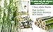 Bamboo 3-Tier Hanging Plant Stand Planter Shelves Flower Pot Organizer Storage Rack Folding Display Shelving Plants Shelf Unit Holderthumb 1