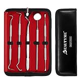 Dentist Tools Kit Dental Tools Dental Pick Dental Floss Gum Floss Toothpicks Dental Hygiene Kit Dental Instruments High Grade Stainless Steel Tartar Scraper Tartar Remover