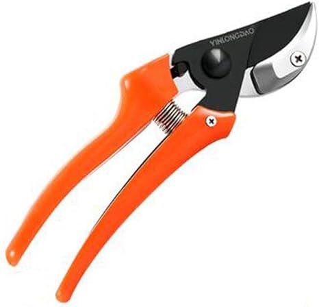 Amazon Co Jp Myerzi 剪定鋏 盆栽 園芸用 家庭用剪定ばさみ ブレードされているわけではない錆びた 簡単に開閉 と耐久性 Thのトリミングのために庭の花のデザインのすべての種類に適した より適切な 枝切り鋏 枝切り はさみ ホーム キッチン