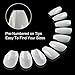 Clear Stiletto Acrylic Fake Nails - ECBASKET Clear Full Cover Stiletto Nail Tips 500Pcs 10 Sizes Long Pointed Nails Clear Claw Nails for DIY Nail Art