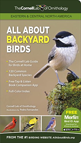 All About Backyard Birds: Eastern  &  Central North America