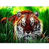 Staron Tiger 5D Diamond Painting by Number Kit, DIY Diamond Embroidery Painting Cross Stitch Kit 5D Diamond Crystal Rhinestone Embroidery Painting DIY Art Craft Canvas Wall Decor (Tiger❤️)