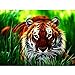 Staron Tiger 5D Diamond Painting by Number Kit, DIY Diamond Embroidery Painting Cross Stitch Kit 5D Diamond Crystal Rhinestone Embroidery Painting DIY Art Craft Canvas Wall Decor (Tiger❤️)