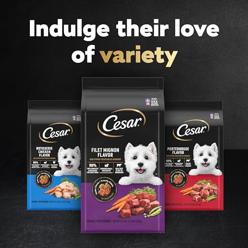 CESAR SMALL BREED ADULT DRY DOG FOOD FILET MIGNON FLAVOR WITH SPRING VEGETABLES GARNISH DOG KIBBLE, 12 LB. BAG