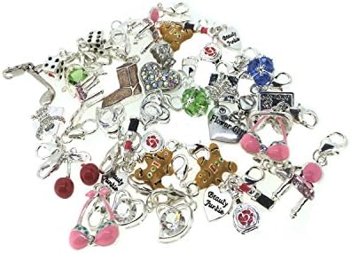 Truly Charming Job Lot Wholesale 25 x Charms Beads for Link Multilink Style Bracelet Lobster Clip Jewellery Making