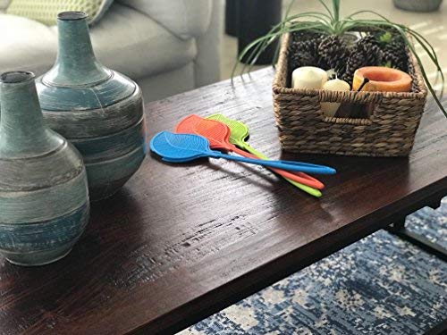 6 Valerisa+Fly+Swatter+Dust+Pan