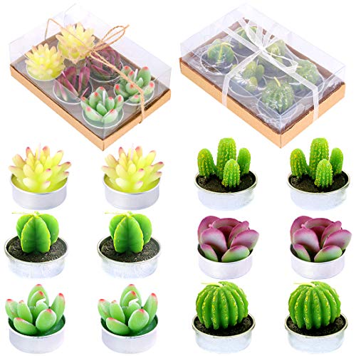 Glarks 12 Pieces Cute Tea Lights Tealight Candles, Artificial Succulents Handmade Cactus Candles for Birthday Party Valentine's Day Wedding Spa Home Decor and DIY Gift