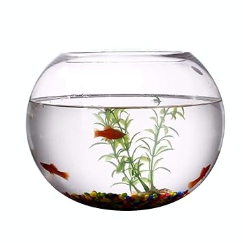 LCBH Acuario de (15 cm 20 cm 25 cm 30 cm 35 cm),