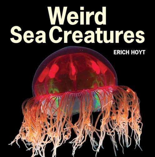 The Deep: The Extraordinary Creatures of the Abyss: Nouvian