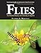 Flies: The Natural History and Diversity of Diptera