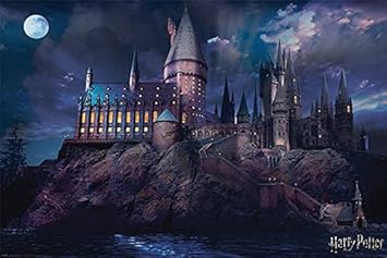 amazon castillo harry potter