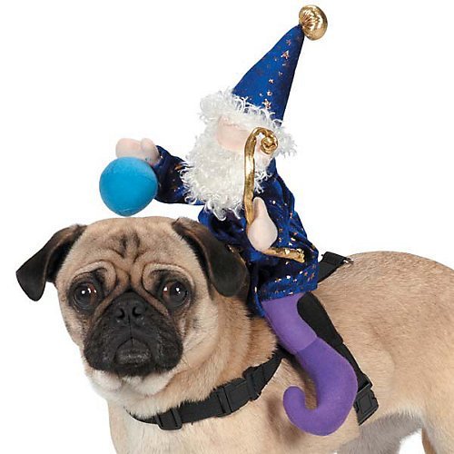 Zack & Zoey Wizard Saddle Costume