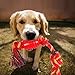 Lifewit Dog Toys, Cotton Dental Teaser Rope Chew Teeth Cleanning Toy for dogs chewers Red