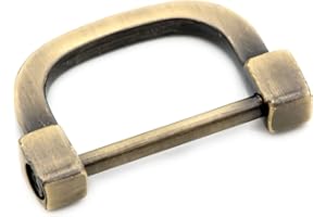 LOOSCO Horseshoe D-Rings,4 PCS Screw in Shackle D Ring for Purses,Belt Clasps,Leather Craft Accessories,Purse Findings (Brushed Brass,1")