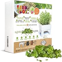 SeedBox SBMCUOR-Huerto Urbano Cultívame Mini-orégano, 17x4x17 cm ...