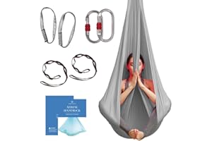 Aum Active Aerial Silk Yoga Hammock & Swing for Home, Inversion Exercises, Starter Kit for All Levels - Durable with Extension Straps, Carabiners, and Pose Guide