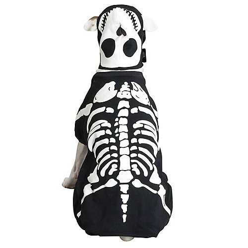 Casual Canine Glowing Skeleton Dog Costume