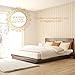Euro Pillows Set of 2 (26 x 26 inch) Square Pillow Inserts for Decorative Bed Pillow Shams - Down Alternative, Filled in USA