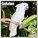 Cockatoos Calendar - 2017 Wall calendars - Parrot Calendars - Bird Calendars - Calendars 2016 - 2017 Wall Calendars - Monthly Wall Calendar by Avonside